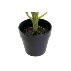 Faux Decorative Plant, 20 × 20 × 30 cm
