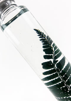Preserved Green Fern Water Globe