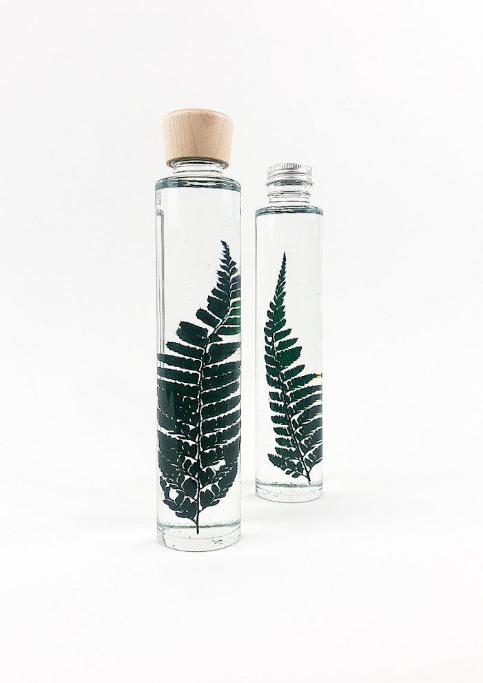 Preserved Green Fern Water Globe