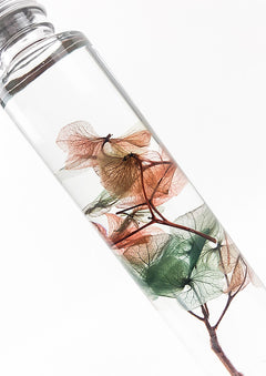 Preserved Hydrangea Water Globe