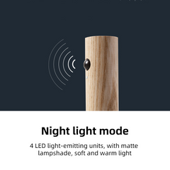 Wireless Motion Sensor Lamp
