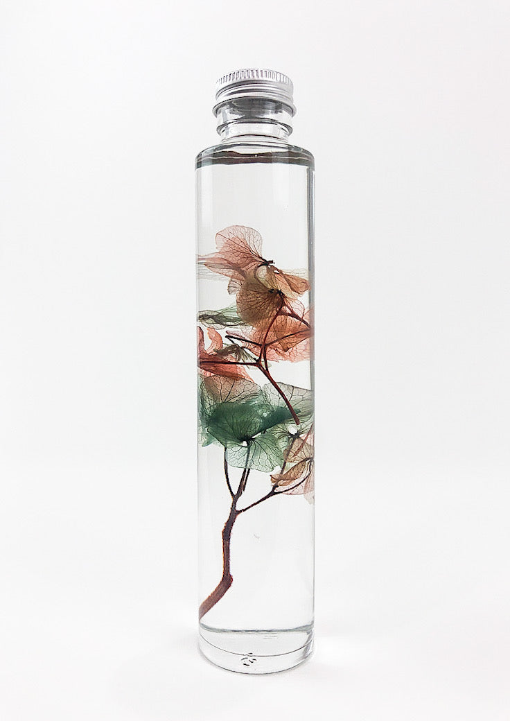 Preserved Hydrangea Water Globe