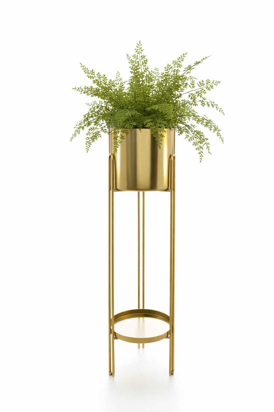 Elegant Plant Pot for Home & Office Decor