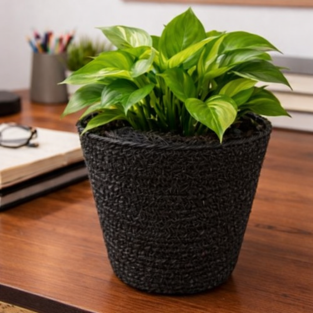 Modern Flower Pot for Home & Balcony Decor